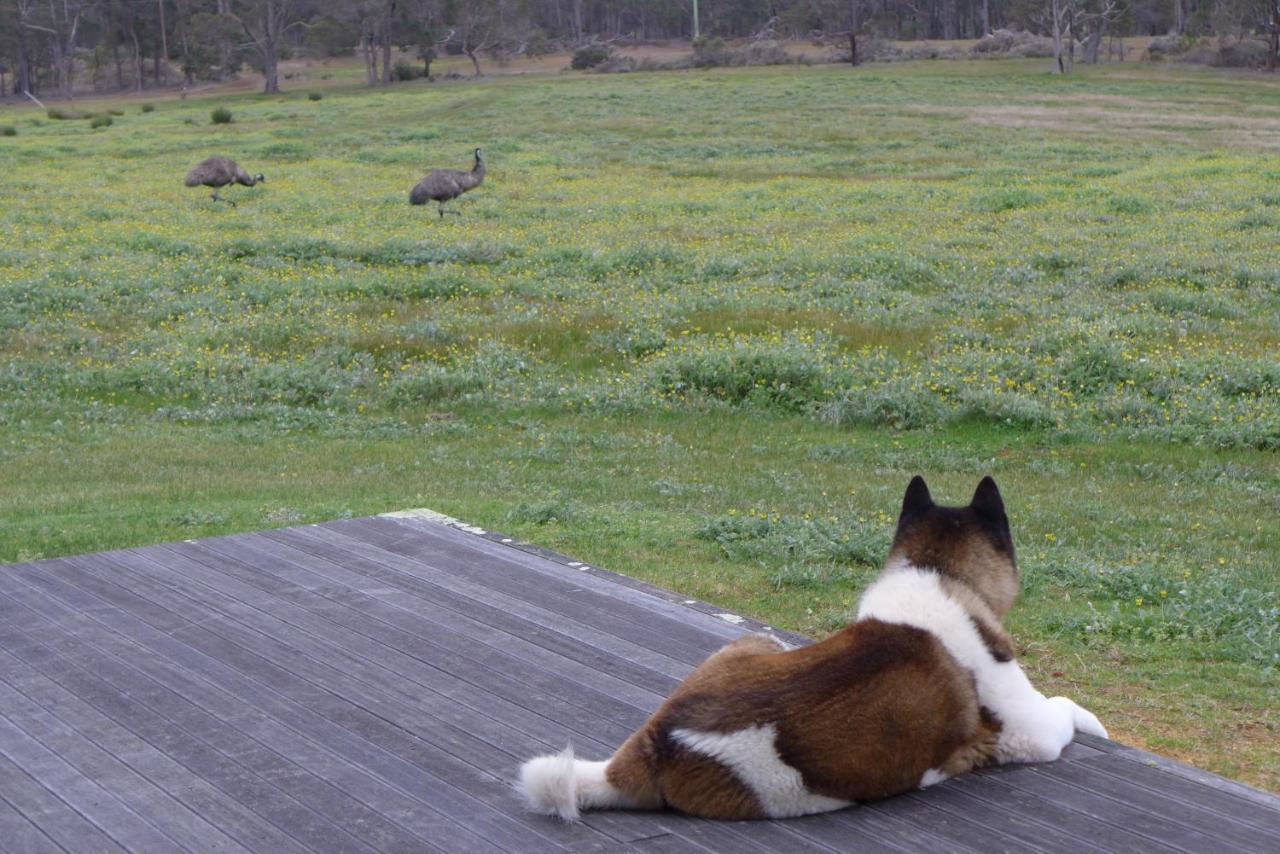Margaret River Farmhouse Rosa Glen 외부 사진